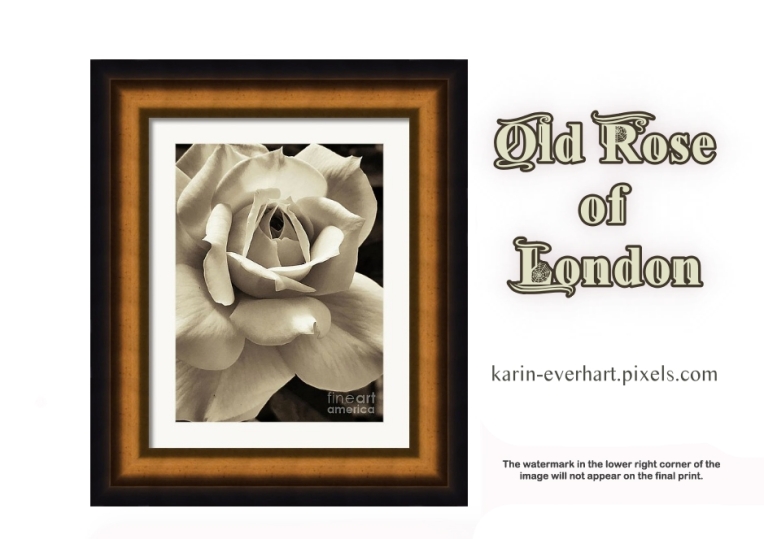 Old Rose of London Pixels framed print