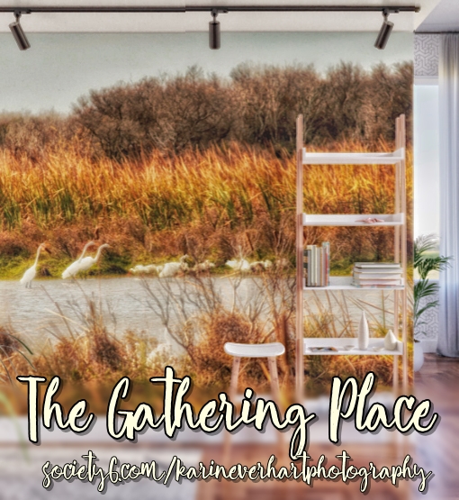 THE GATHERING PLACE 2018-04-22 soc6